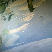 Ver m&aacute;s detalles...